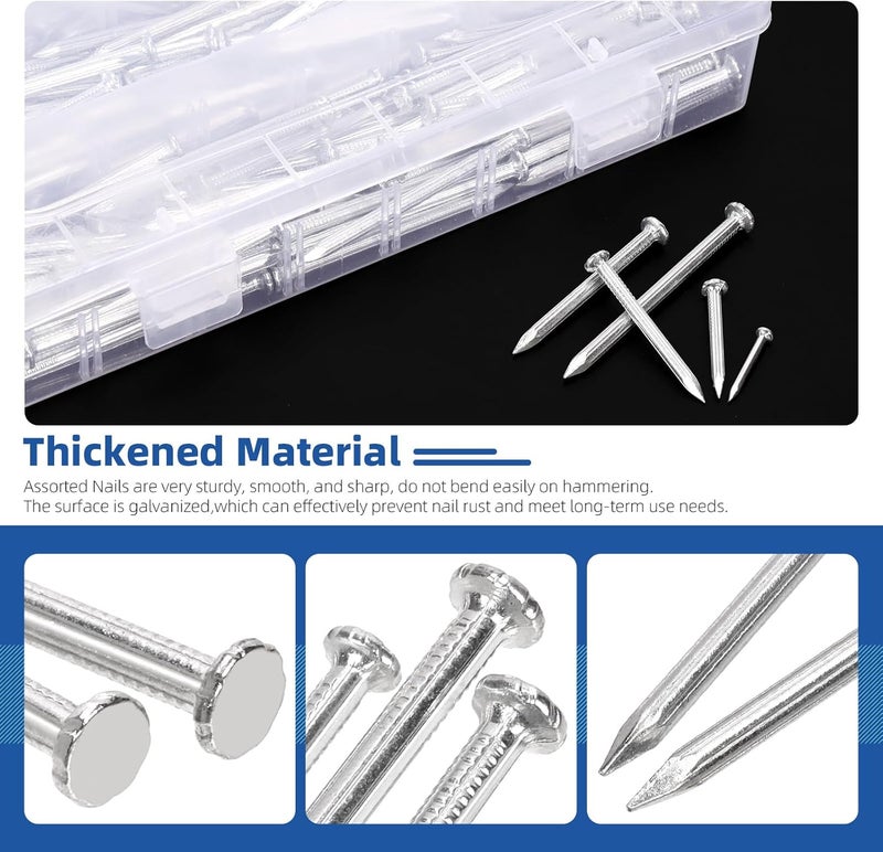 Glarks 300pcs 20/30/40/50/60mm Brick Steel Nails Kit, White Zinc Carbon Steel Hardware Nails, Finishing Nails, Brad and Picture Hanging Nails, Wood Nails, Cement Nails for Drywall and Pine - Image 4